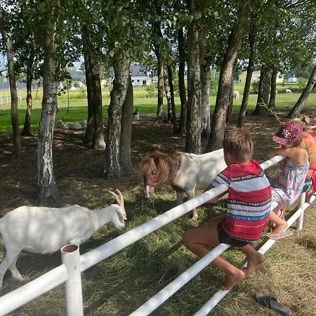 Pod Brzozami * Rychwal