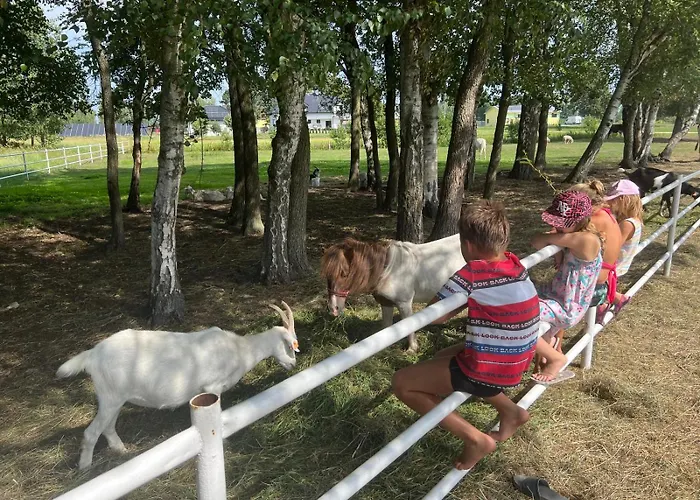 Pod Brzozami * Rychwal